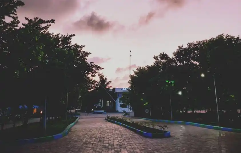 Great Lakes support for Mental Health Great Lakes support for Mental Health