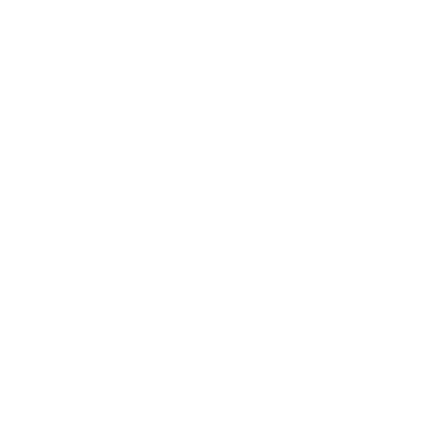 Policy Design