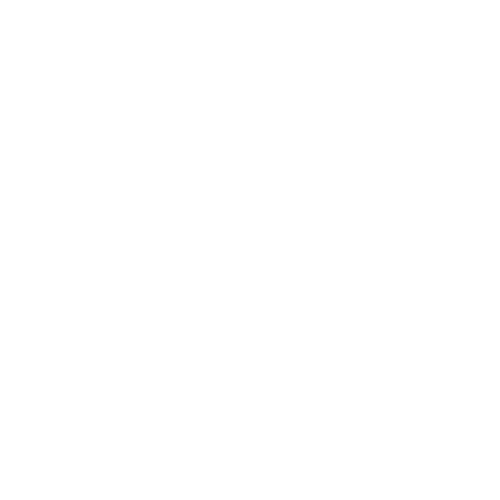 Stakeholder Engagement